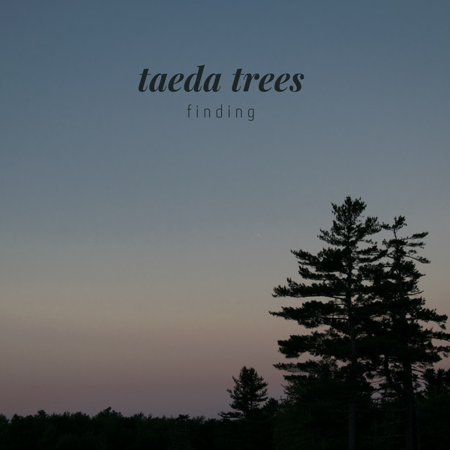 Finding by Taeda Trees
