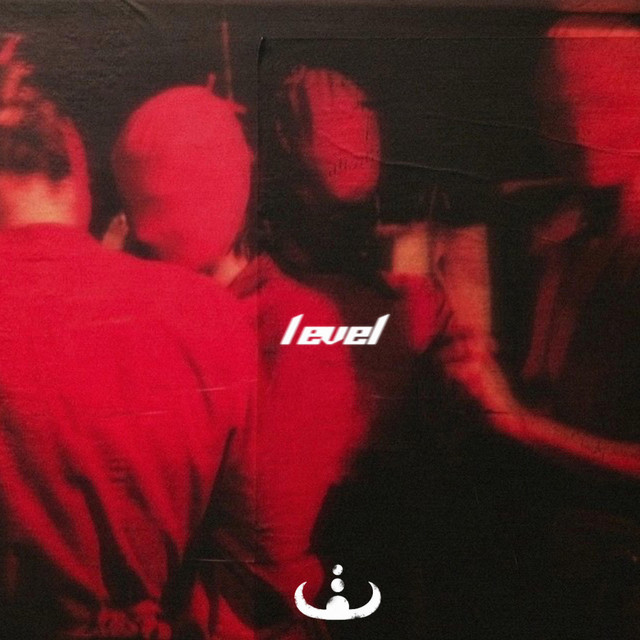 Level cover art