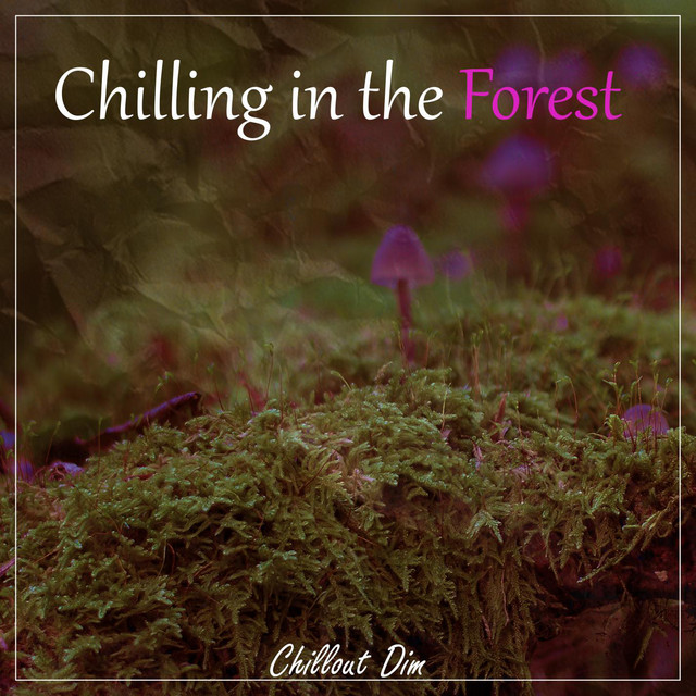 Обкладинка: Chilling in the Forest — Chillout Dim