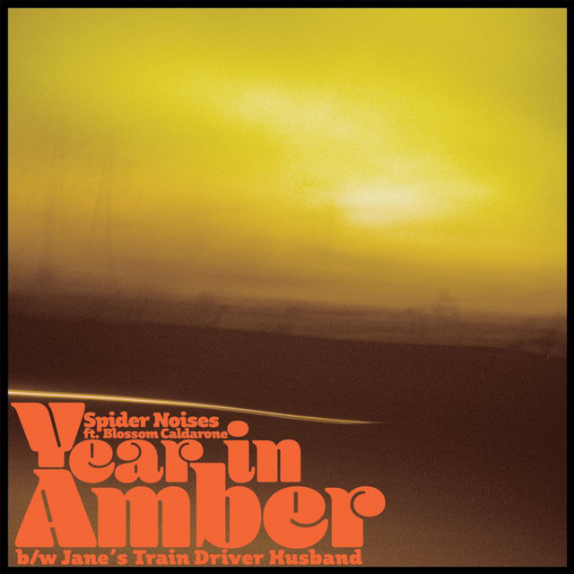 Year in Amber cover