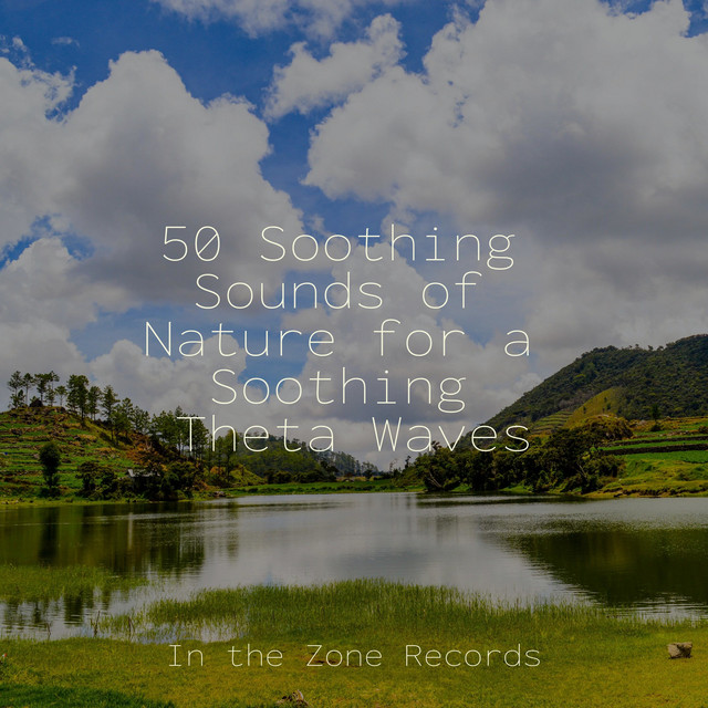 50 Soothing Sounds of Nature for a Soothing Theta Waves - Album by ...