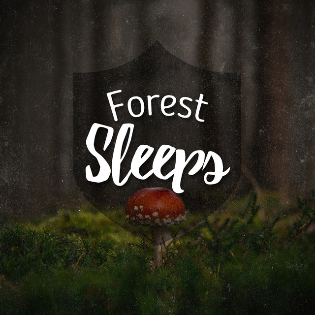 Forest Sleeps - Album by Nature Sounds for Sleep and Relaxation | Spotify
