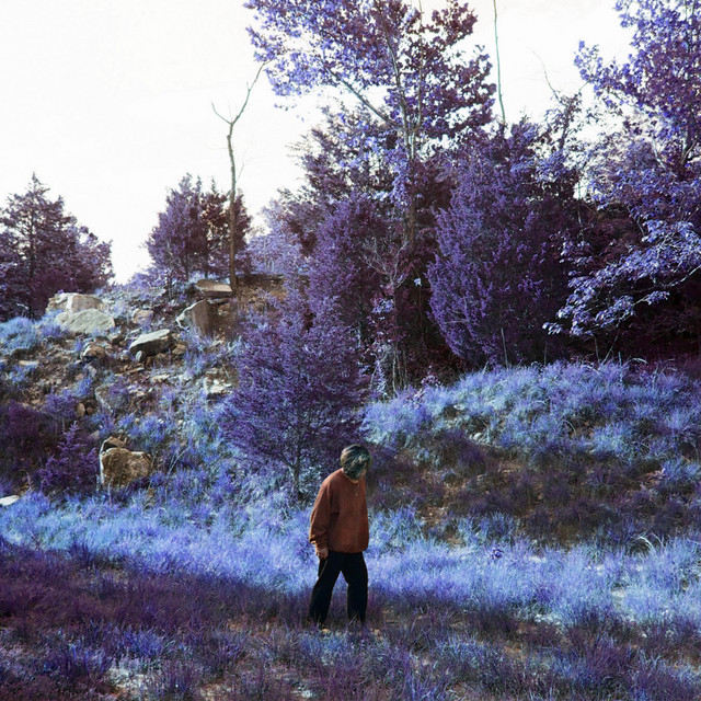 Dreampainter cover art