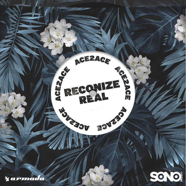 Reconize Real cover