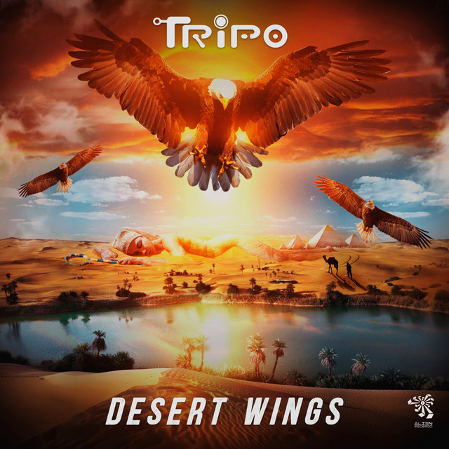 Desert Wings cover