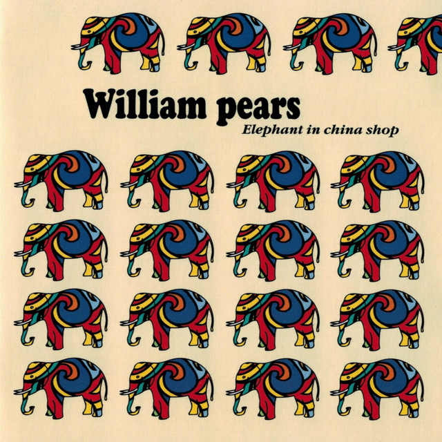Elephant in china shop cover