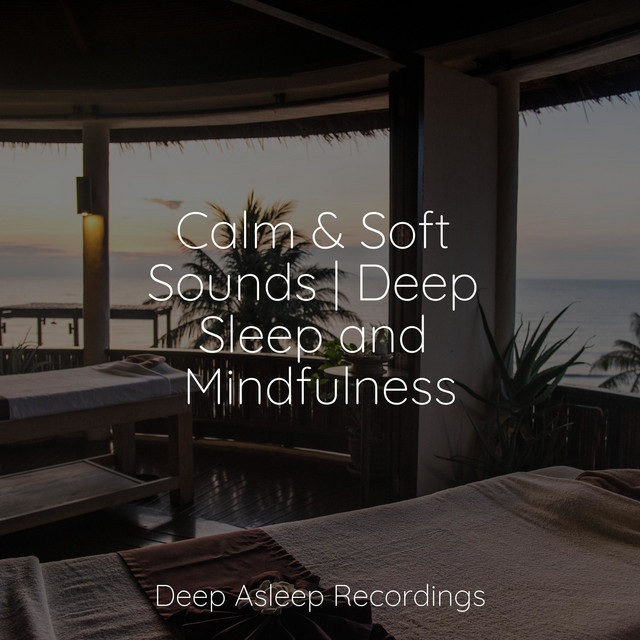 Relaxed - song and lyrics by Best Relaxing SPA Music, Classical New Age ...