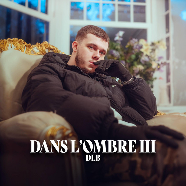 Dans l'ombre 3 cover art