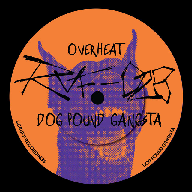 Dog Pound Gangsta album image
