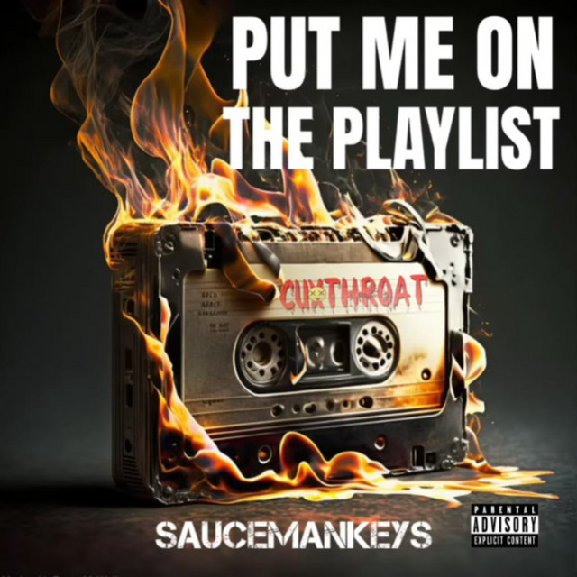 Put Me on the Playlist (Dj's & Radio)