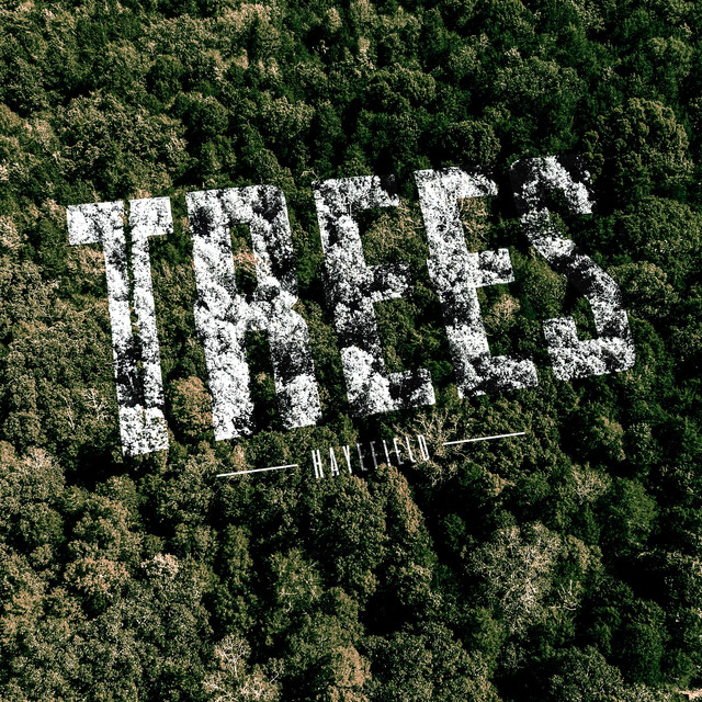 Trees cover art