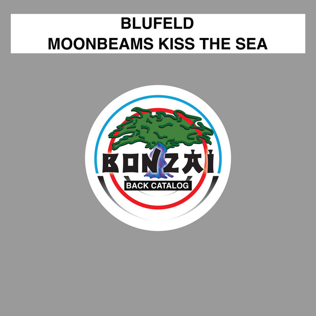 Moonbeams Kiss The Sea