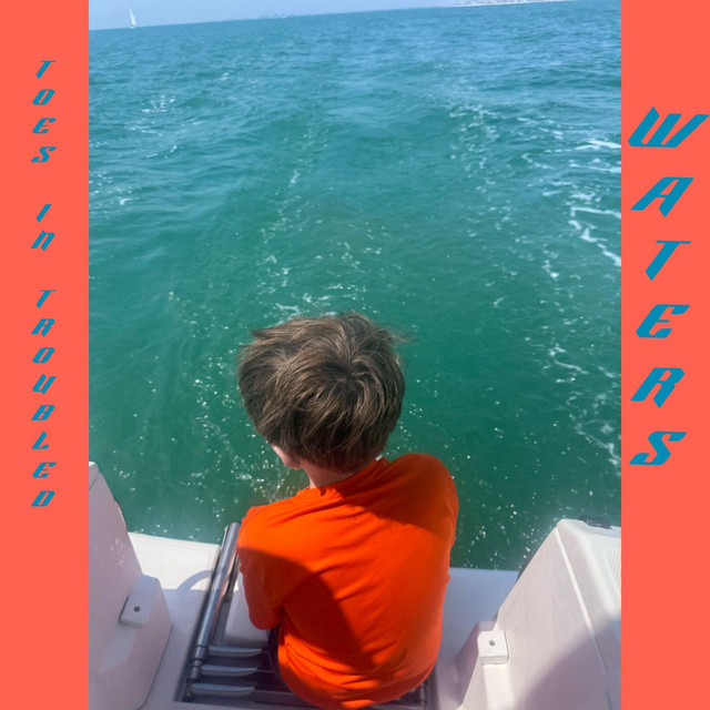 Toes in troubled waters cover