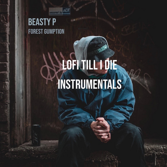 Lofi Till I Die (Instrumentals) cover art