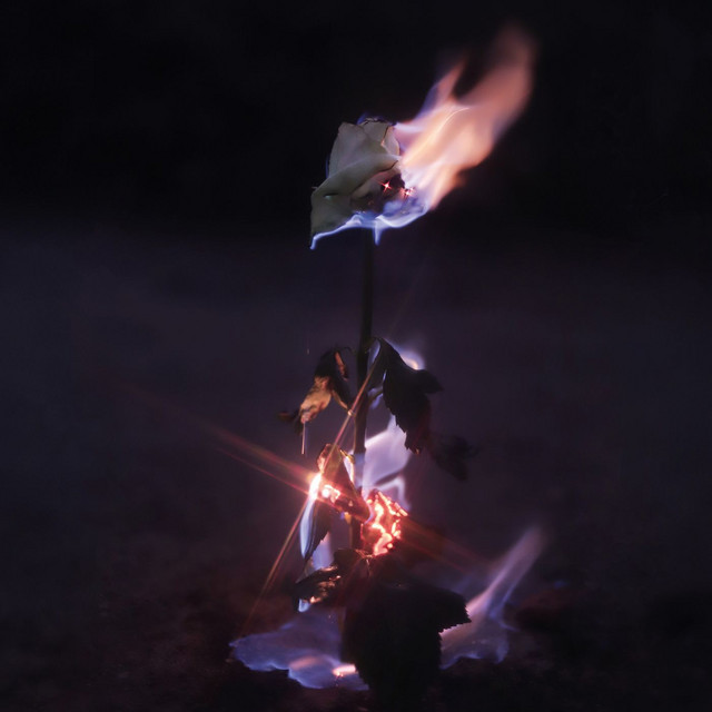 Momentary Glow cover art