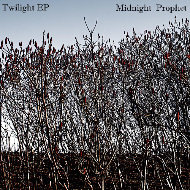 Twilight cover