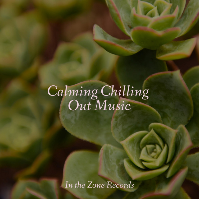 Calming Chilling Out Music cover art