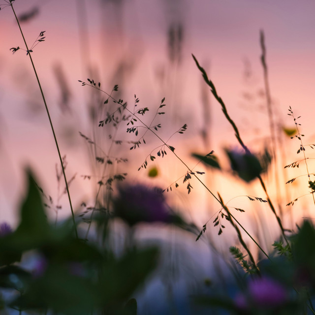 50 Soothing Compilation for Relaxation and Sleep cover art