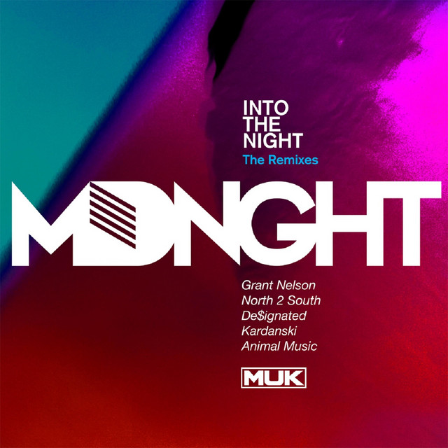 Into the Night (The Remixes) cover