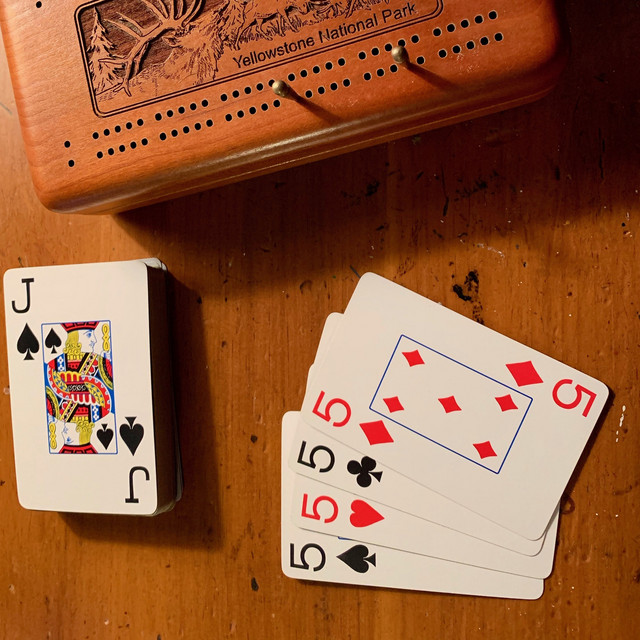 29 Hand cover