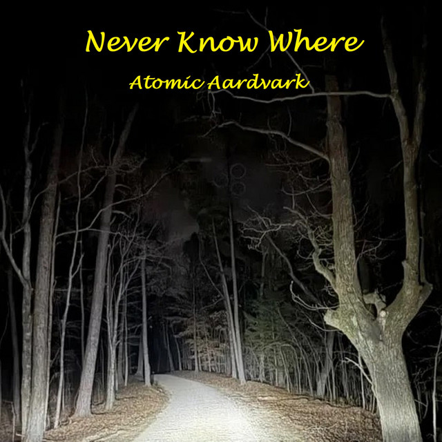 Atomic Aardvark – Never Know Where
