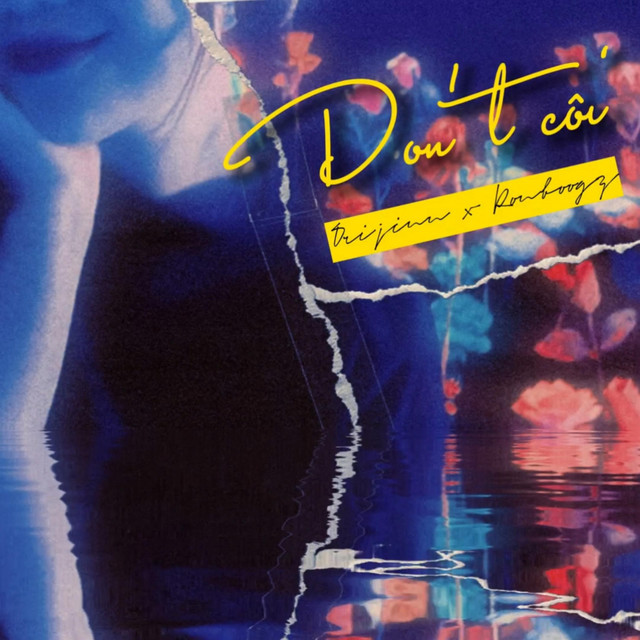 Don't Côi