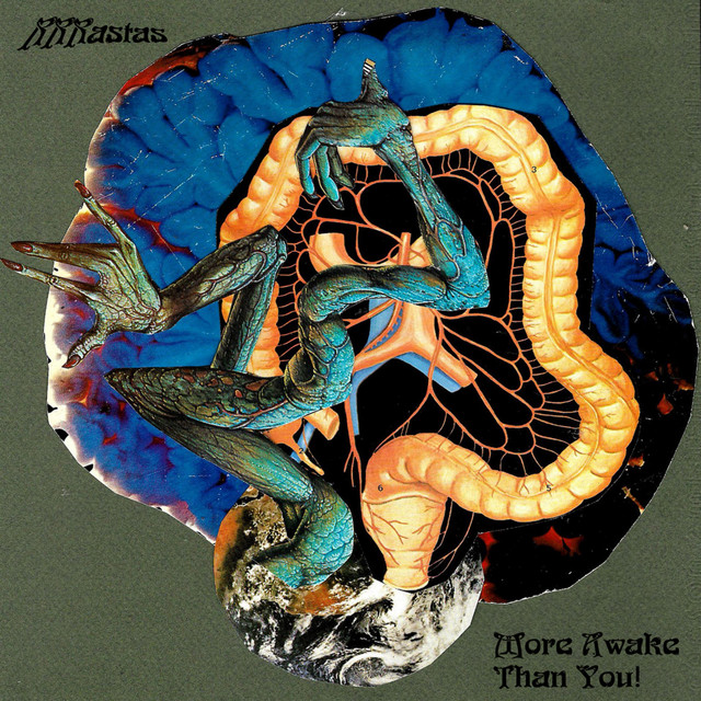 More Awake Than You! cover