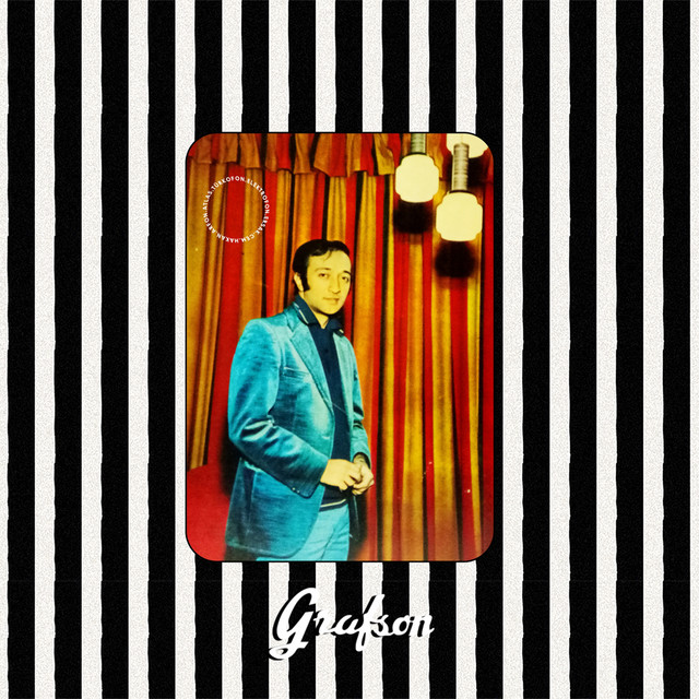 Ömür Göksel ve Dünyası cover