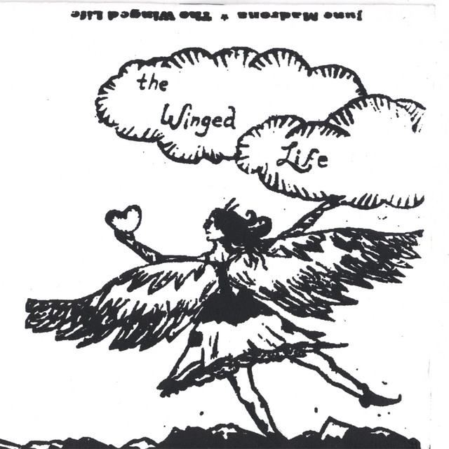 The Winged Life cover