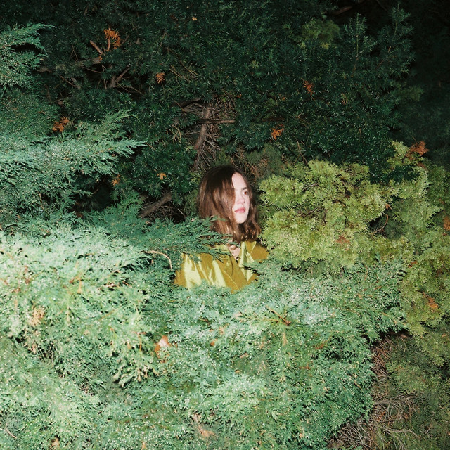 What I Never Told You cover art