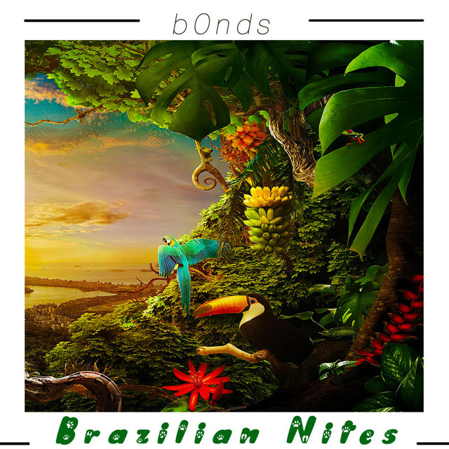 Brazilian Nites cover art