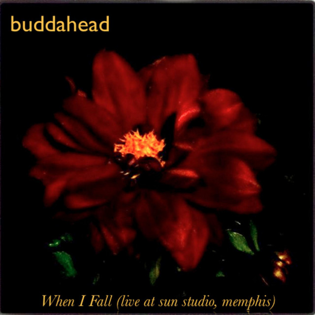 Buddahead Photo