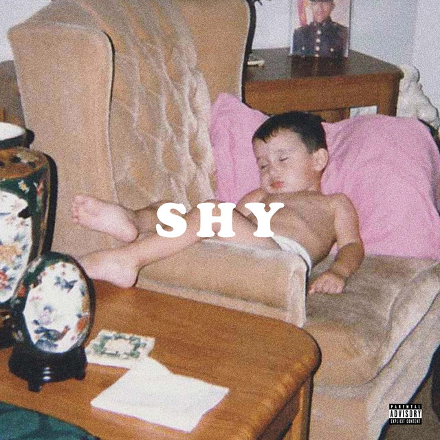 SHY cover art