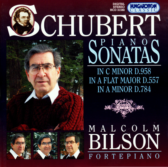 Schubert: Piano Sonatas, Vol. 7: Nos. 5, 14 and 19