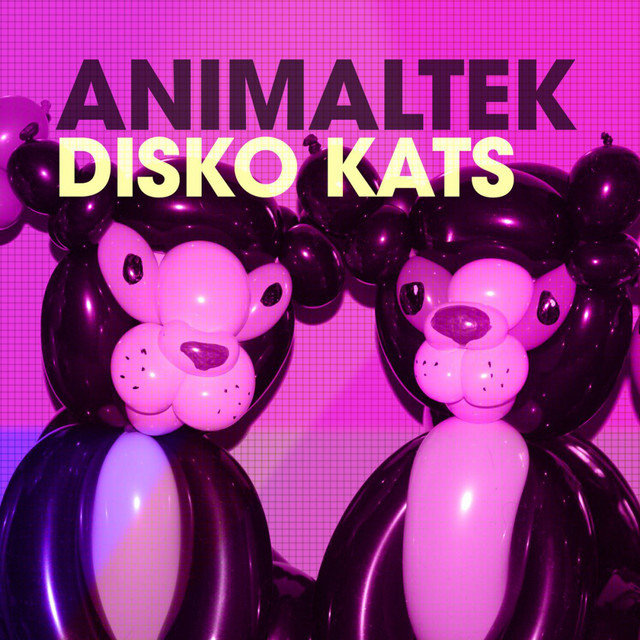 Disko Kats cover