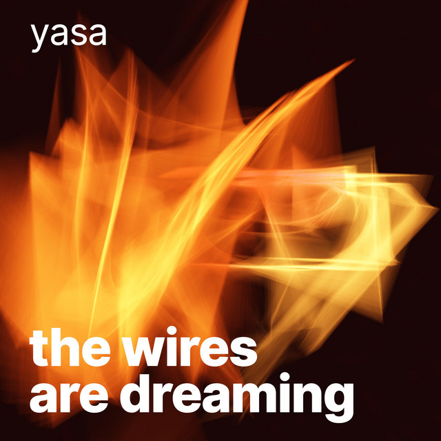 artwork for The Wires Are Dreaming