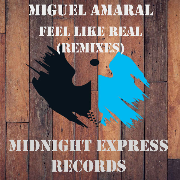 feel like real remixes cover art