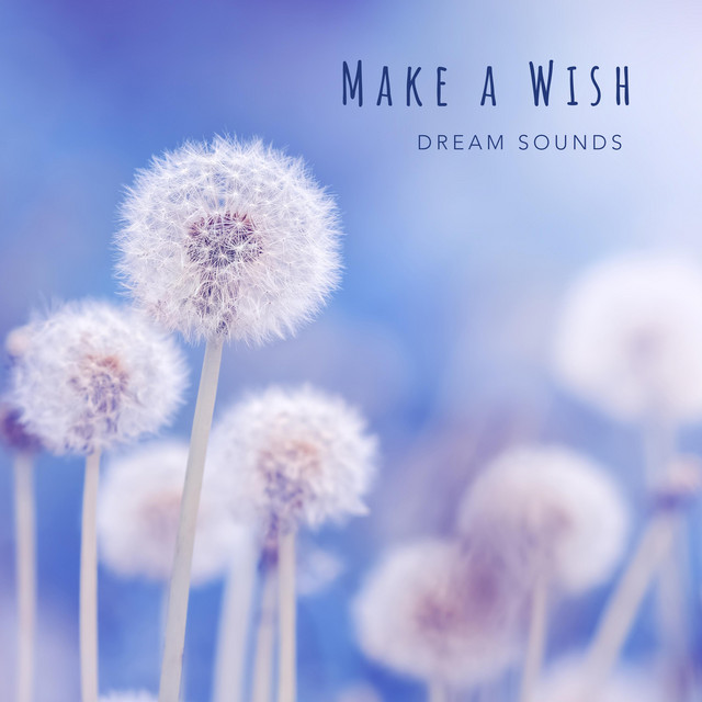 Make a Wish cover art