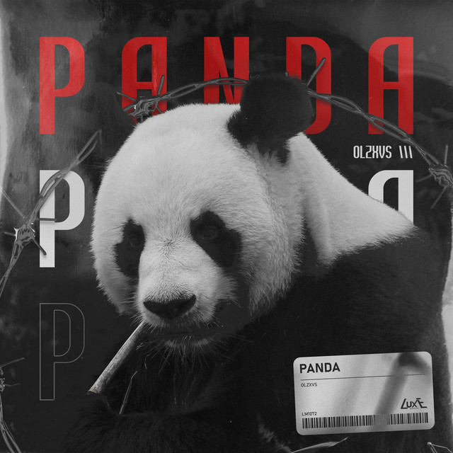 Обкладинка OLZXVS — PANDA