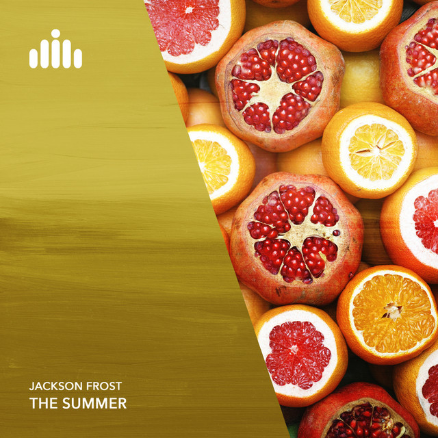 Обкладинка: The Summer — Jackson Frost