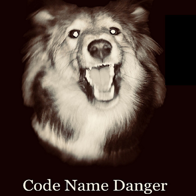 Code Name Danger - Single by Code Name Danger | Spotify