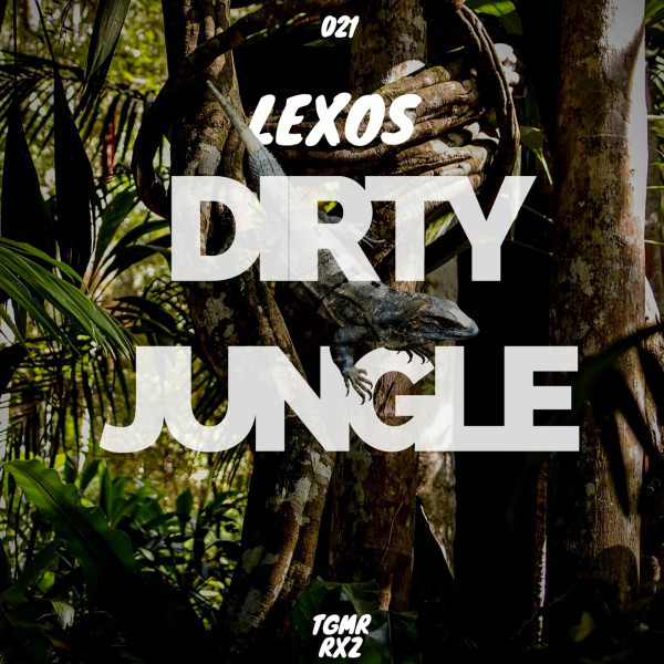 Dirty Jungle cover
