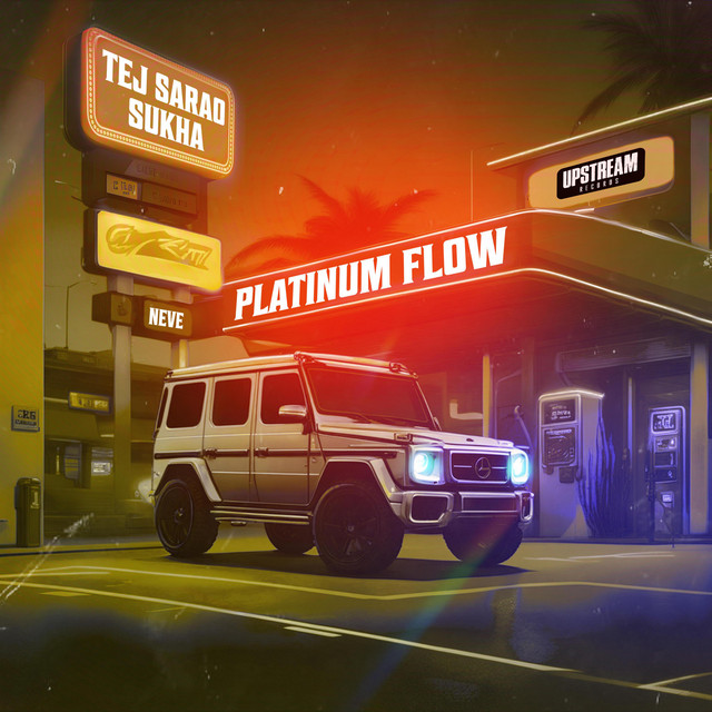 Platinum Flow cover