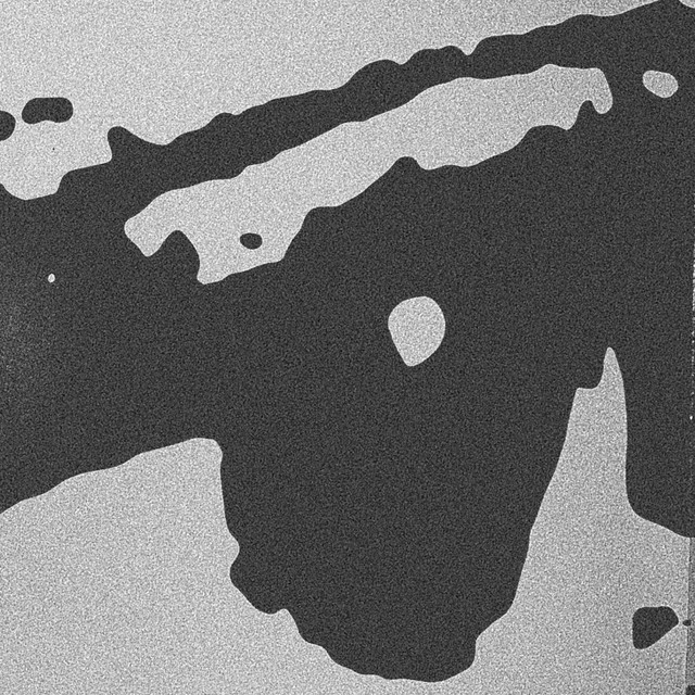 amygdala cover art