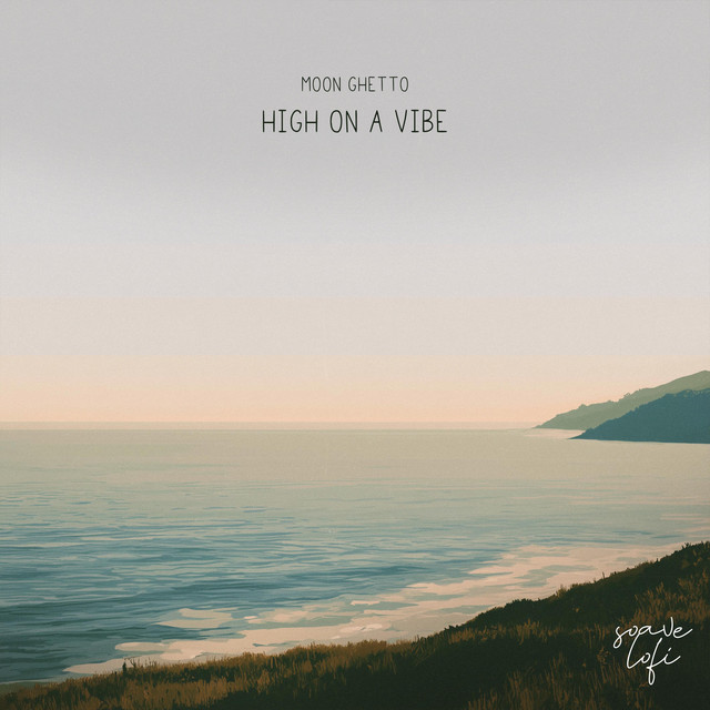 High on a Vibe album image