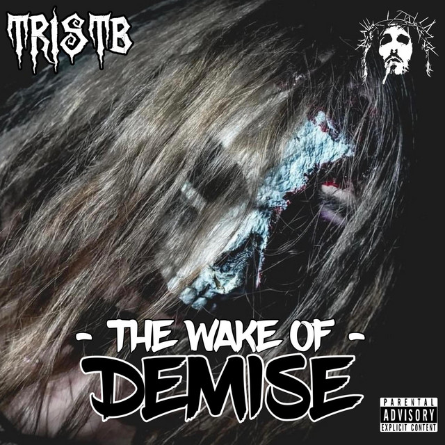 THE WAKE OF DEMISE cover art