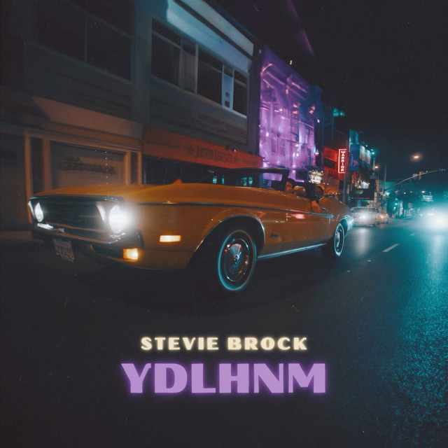 YDLHNM cover