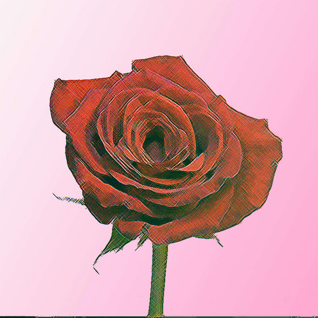 Love Me True, or Love Me Not cover art