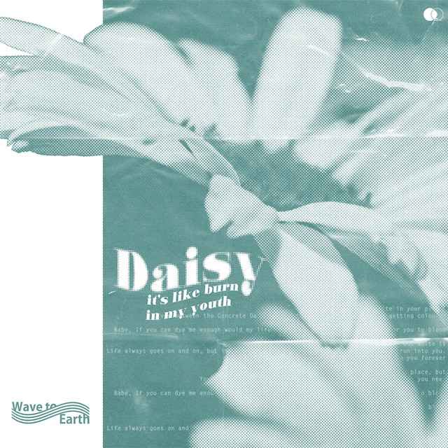 daisy. cover art