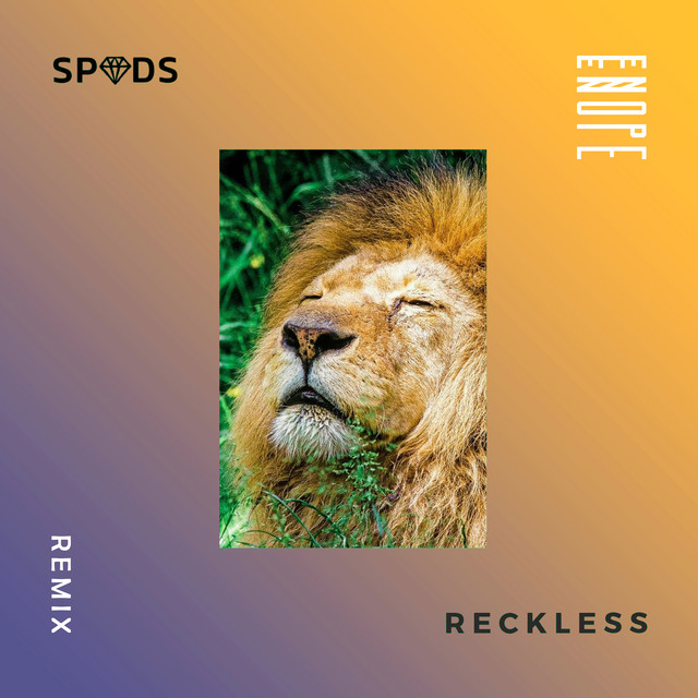 Reckless (ENOPE Remix)